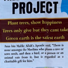 Tree planting Project item