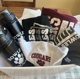 Bowles Swag basket item