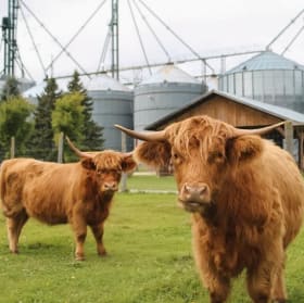 Admission for 4 to Valleyview Farm item