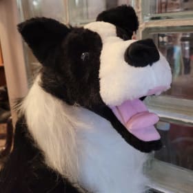 Life-sized Border Collie stuffed animal item