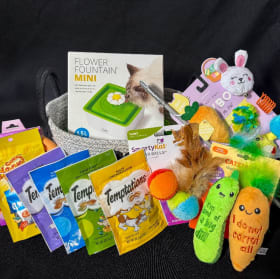 Cat Gift Basket item