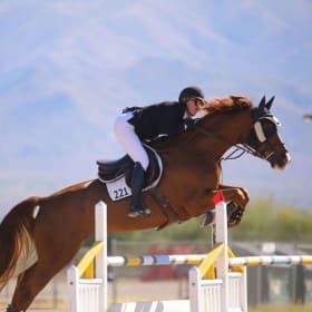 Grand Prix Sponsor item