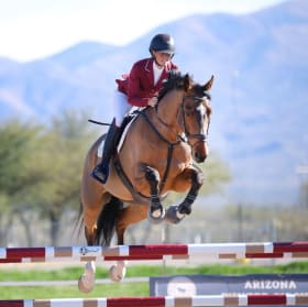 Welcome Sponsor item