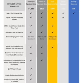 Platinum Sponsor item