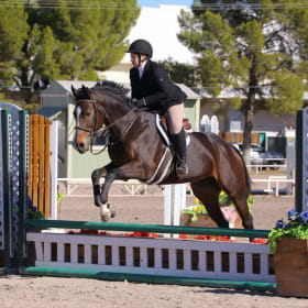 Unrated Division item