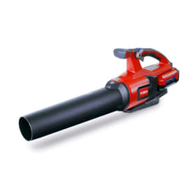 #9 Toro 60v- leaf blower item