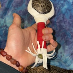 Turtle Rattler "Strength Through All Days" item