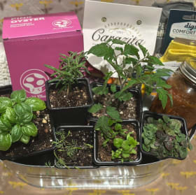 Miss Stephanie’s Unique Garden Mega Pack! item