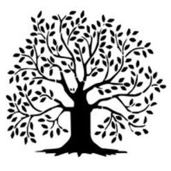 Genesis Salon Hair Wash, Cut & Style item