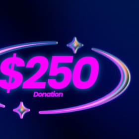 $250.00 Donation item