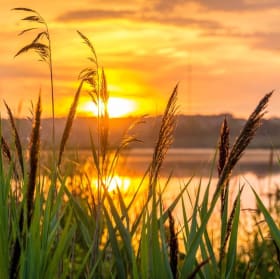 La bonté, source d’espérance item