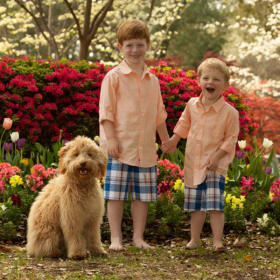 Robin Jackson Photography 8" x 10" Pet Portrait item