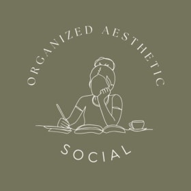 Social Media Audit item