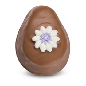 Peanut Butter Egg #509499 item