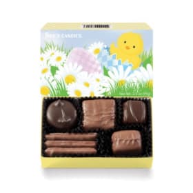 Happy Chick Assortment #507951 item