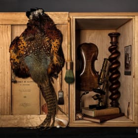 STILL LIFE VII by Kevin Fryer item