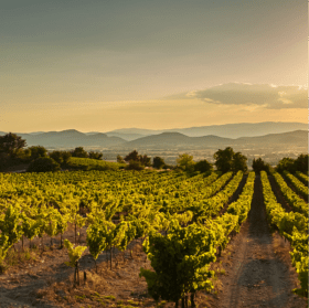 South of France Private Home for (8) item