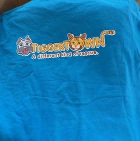 T-Shirt - Medium item