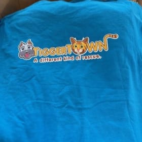 T-Shirt - Large item