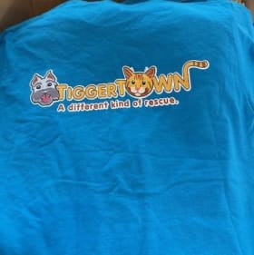 T-Shirt - XLarge item