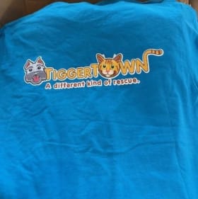 T-Shirt - 3XLarge item