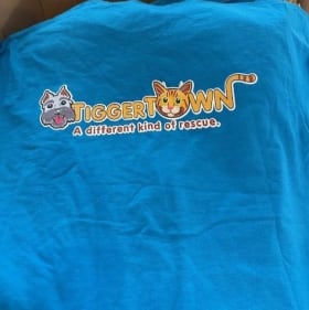 T-Shirt - 4XLarge item