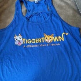 Ladies Tank Top - Large item