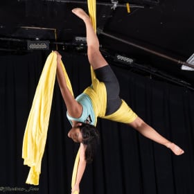 Echo Theater Company Gift Certificate item