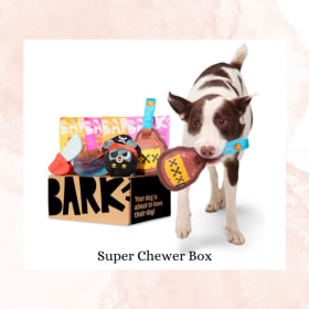 Bark Box item