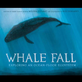 Personalized Video About the Creation of Whale Fall item