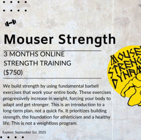 38. 3 months online strength training item