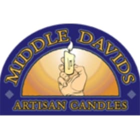 SILENT AUCTION *PRE-VIEW ONLY* item