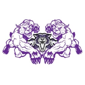 Summer Wrestler - 2nd Sibling item