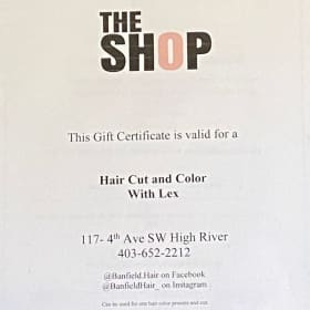 The Shop - cut and colour item
