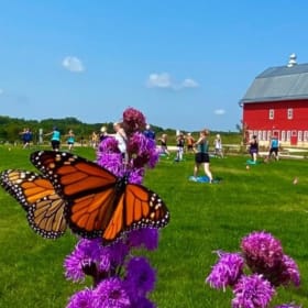 One Year of Yoga at the MN Arboretum + Retreat Discount item