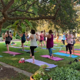 One Year of Yoga at the MN Arboretum + Retreat Discount item
