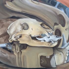 Animal Skull Study (16" x 20" Print) item