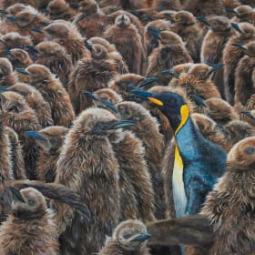 King Penguins (16" x 20" Print) item