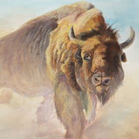 Bison-Reproduction of Chief by Robert Bate (16" x 20" Print) item