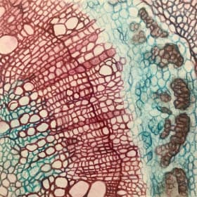 Plant Wall Slide (6.5" x 6.5" Original) item