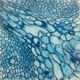 Cells Slide (6.5" x 6.5" Original) item
