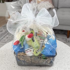 🐾 7 Nights at Sit Means Sit + a Pawsome Puppy Basket  🦴 item