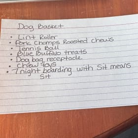 🐾 7 Nights at Sit Means Sit + a Pawsome Puppy Basket  🦴 item