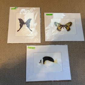 Fine Art by Nori Vossen Art item