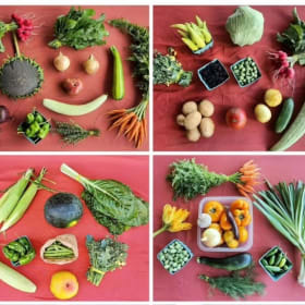 Full Season CSA item