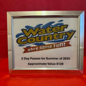 88 Water Country Day Passes item