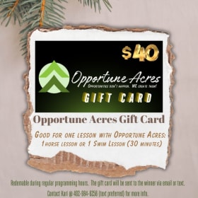 Horse or Swim Lesson item