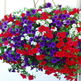 OLD GLORY HANGING BASKET #4 item