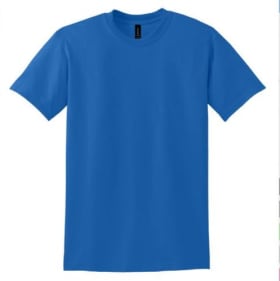 T-shirt, adult large item