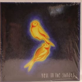 47. One CD from The Shoats and One CD from Aurora Lights item